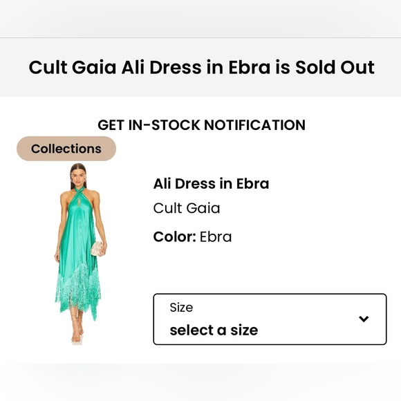 Cult Gaia | Ali Fringe Silk Maxi Dress - Picture 4 of 7